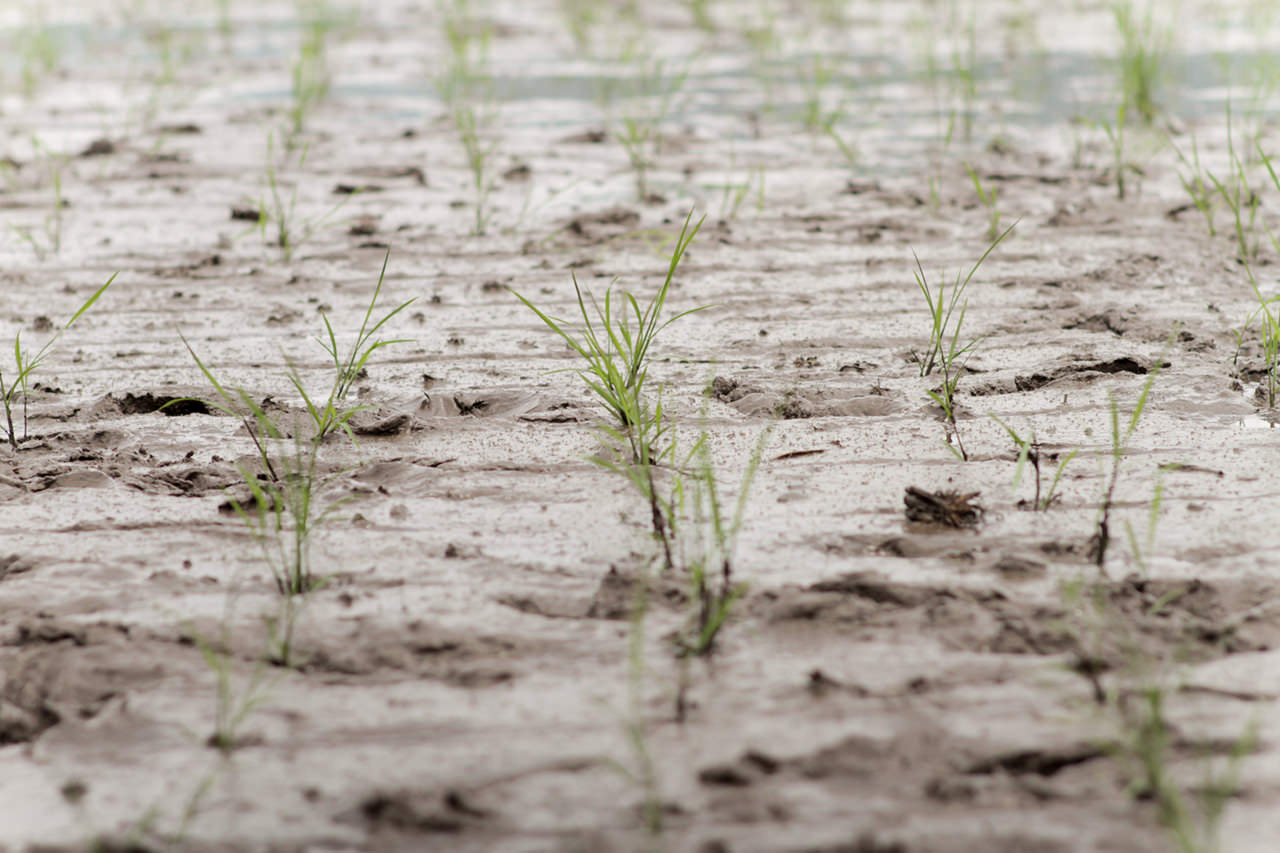 縦糸横糸合同会社
