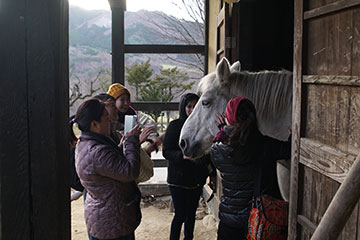 大槌湾周域インバウンドモニターツアー