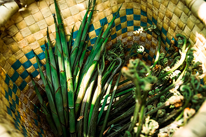 【食づくり、関係地づくり】(ヤスダ屋共同企画)